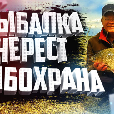 Рыбалка в нерестовый запрет Встреча с начальником рыбохраны региона Вопросы Ответы Подробности